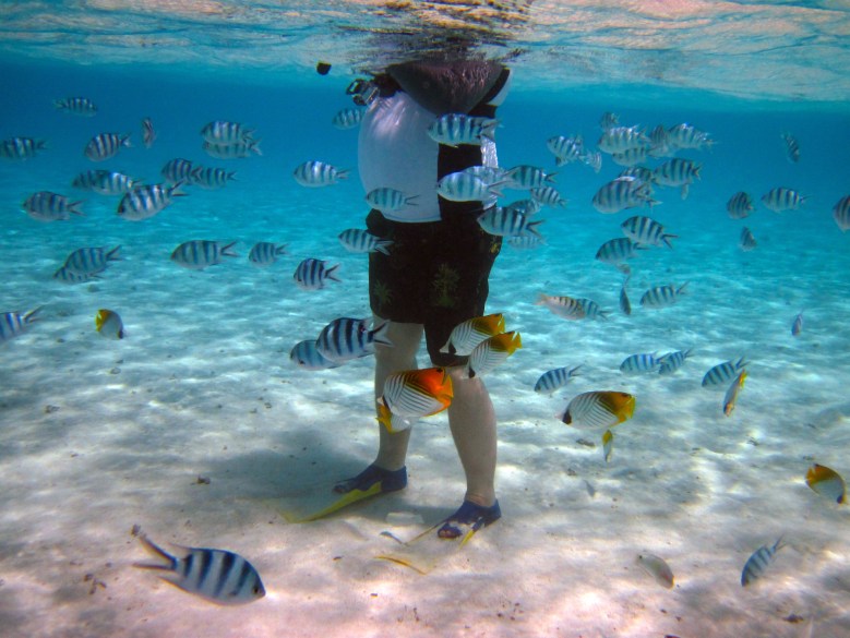 aitutaki-lagoon-cook-islands_10910625756_o